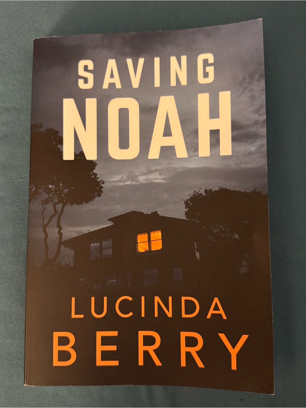 Saving Noah- paperback book by Lucinda Berry
